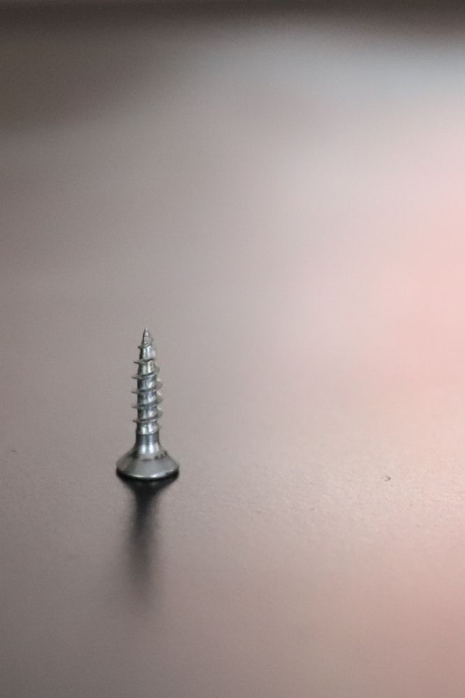 Photograph by Cristian Mirescu