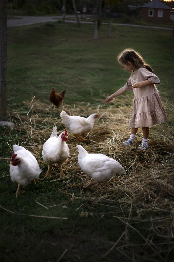 Photograph by Наталья Едакина