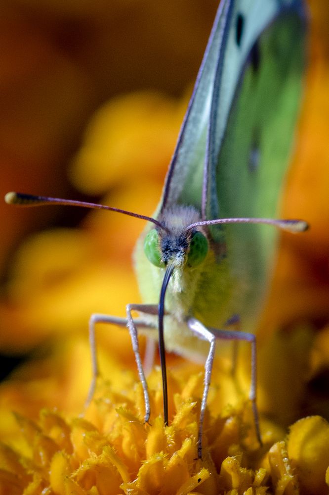 Photograph by Сергей Быченков