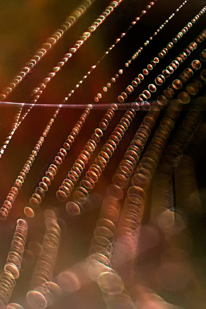 Photograph by Anna Suchcicka