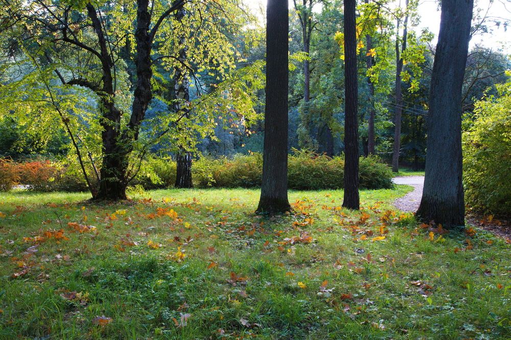 Начало осени в Удельном...СПб...!)