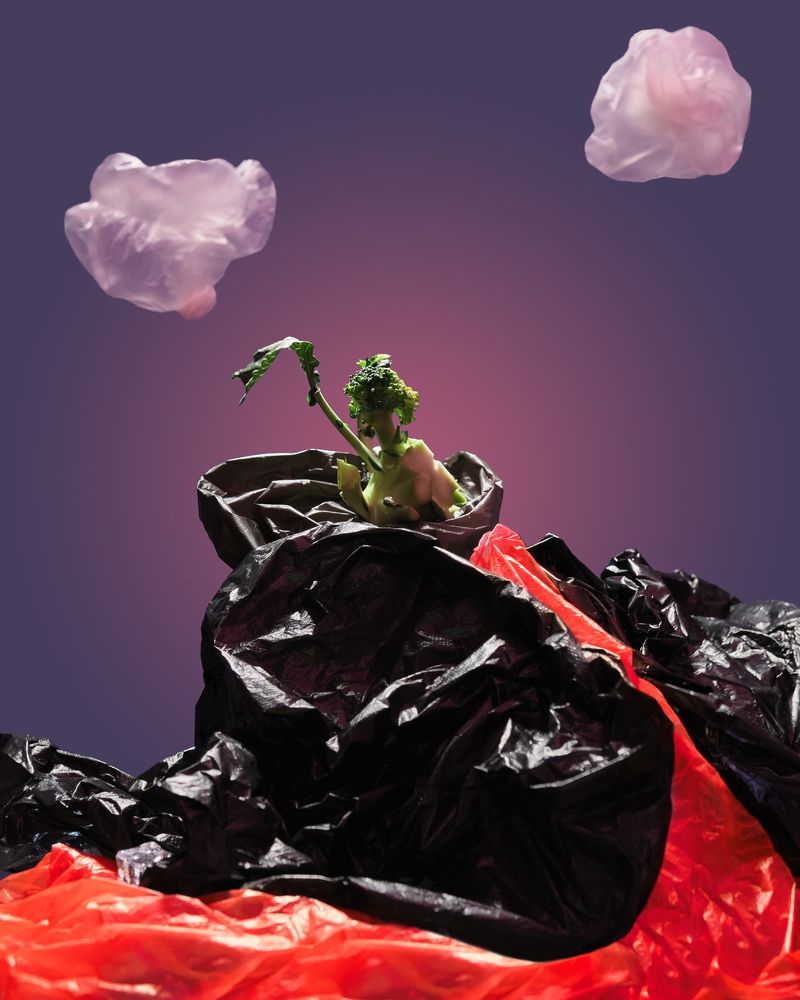 Photograph by Александр Егорин