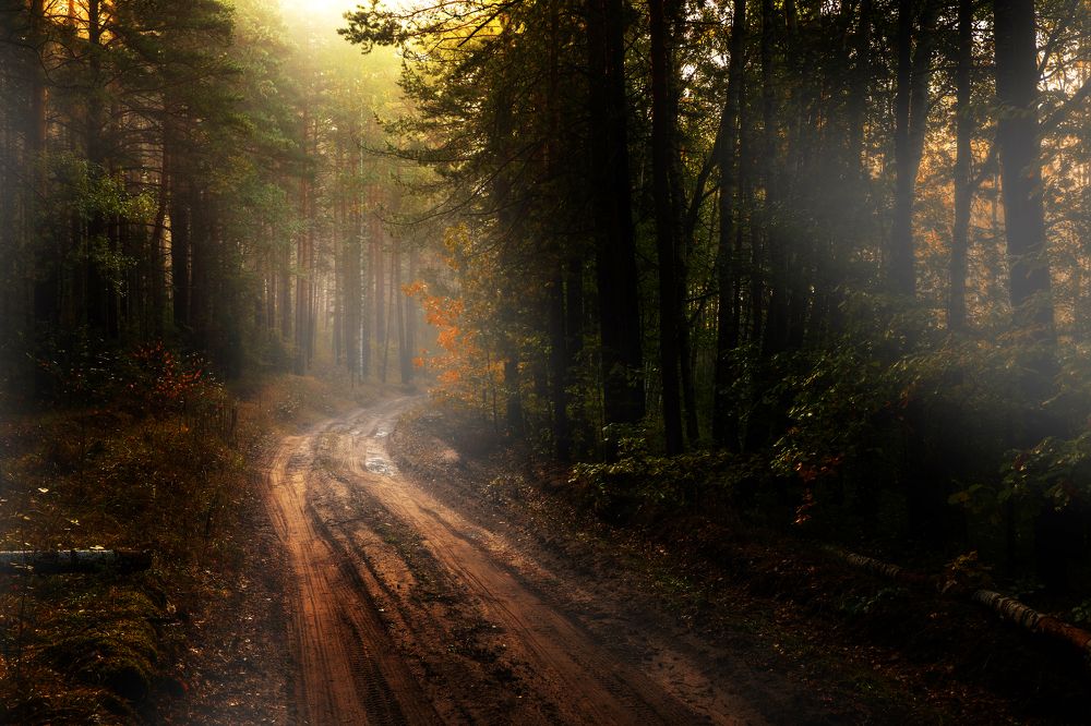 Photograph by Сергей Абашкин