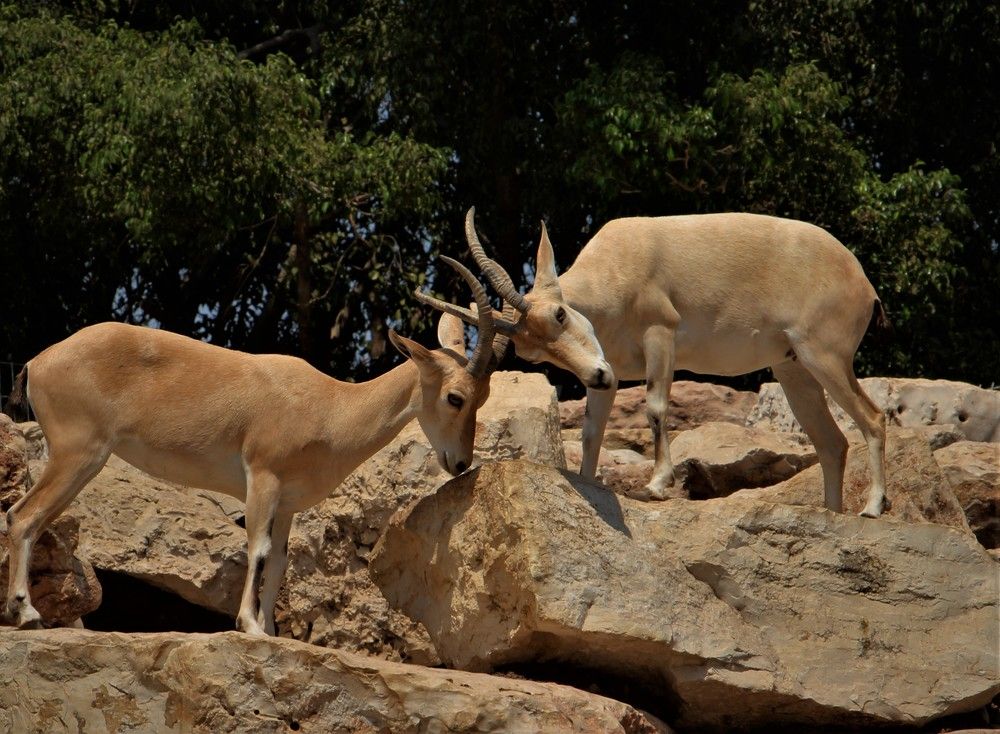 Photograph by Людмила Бутова