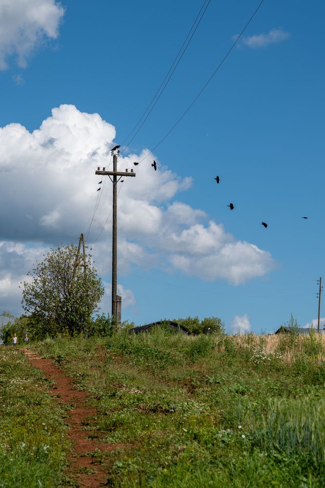 Летняя прогулка