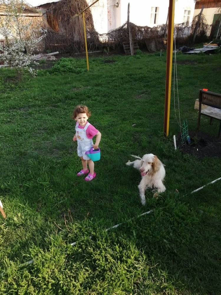 Фотография автора Елена Зверева