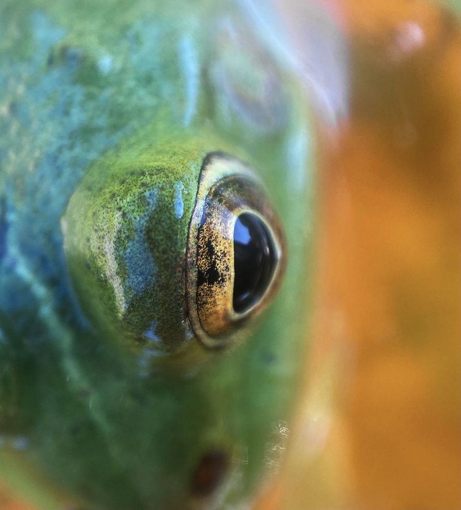 Фотография автора Анна Котлова