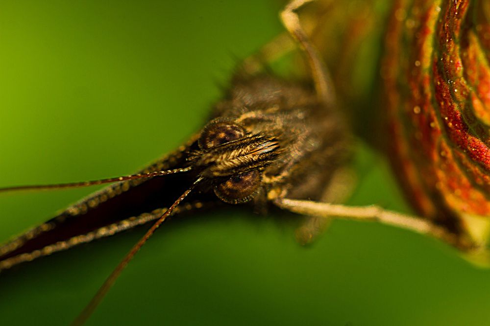 Photograph by Ольга Багрова