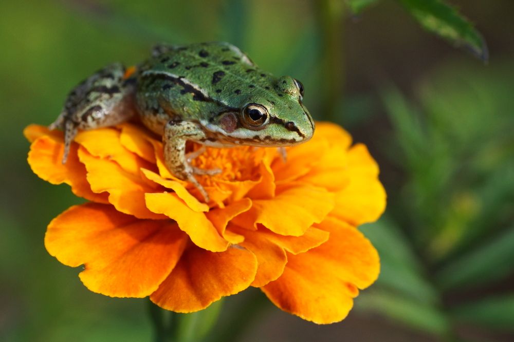 Photograph by Алексей Андреев