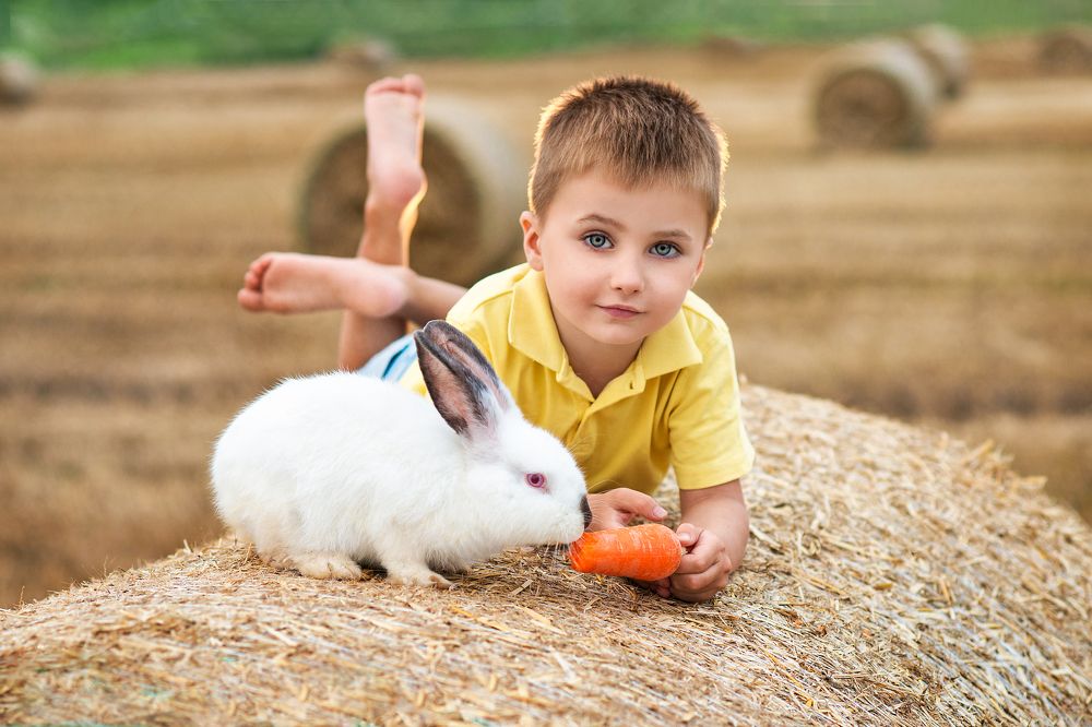 Photograph by Кристина