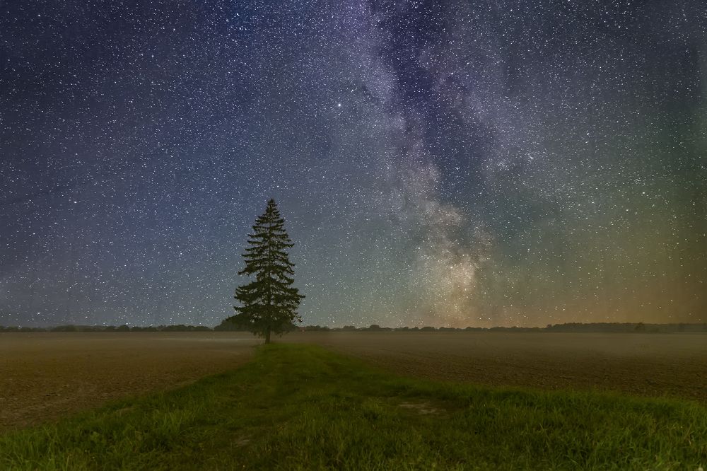 Photograph by Simona Stalidzāne