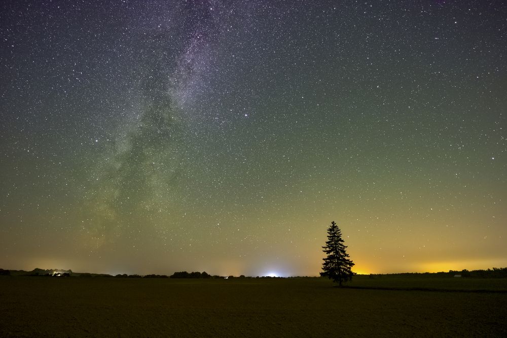 Photograph by Simona Stalidzāne