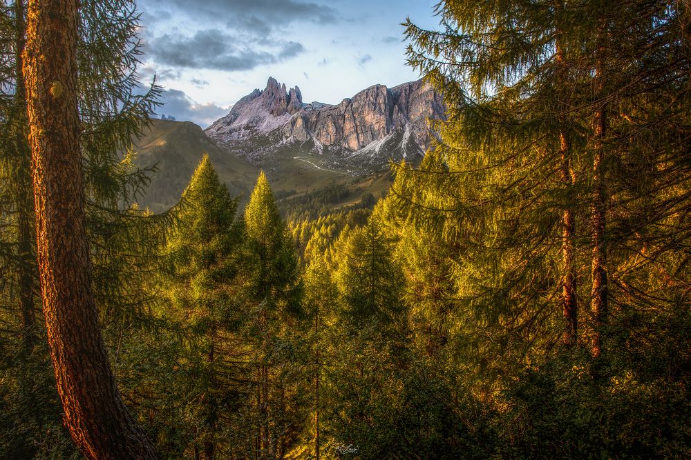 Photograph by Laura Re