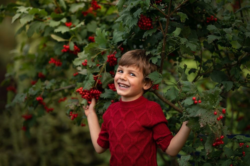 Фотография автора Анна Крутицкая