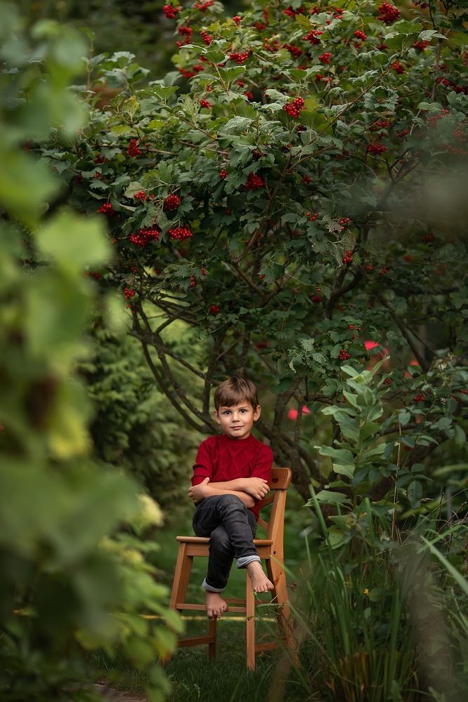 Фотография автора Анна Крутицкая