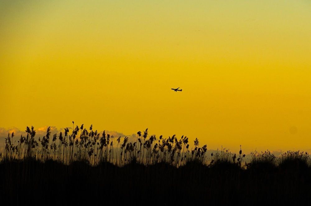 Photograph by Адыл Баетов