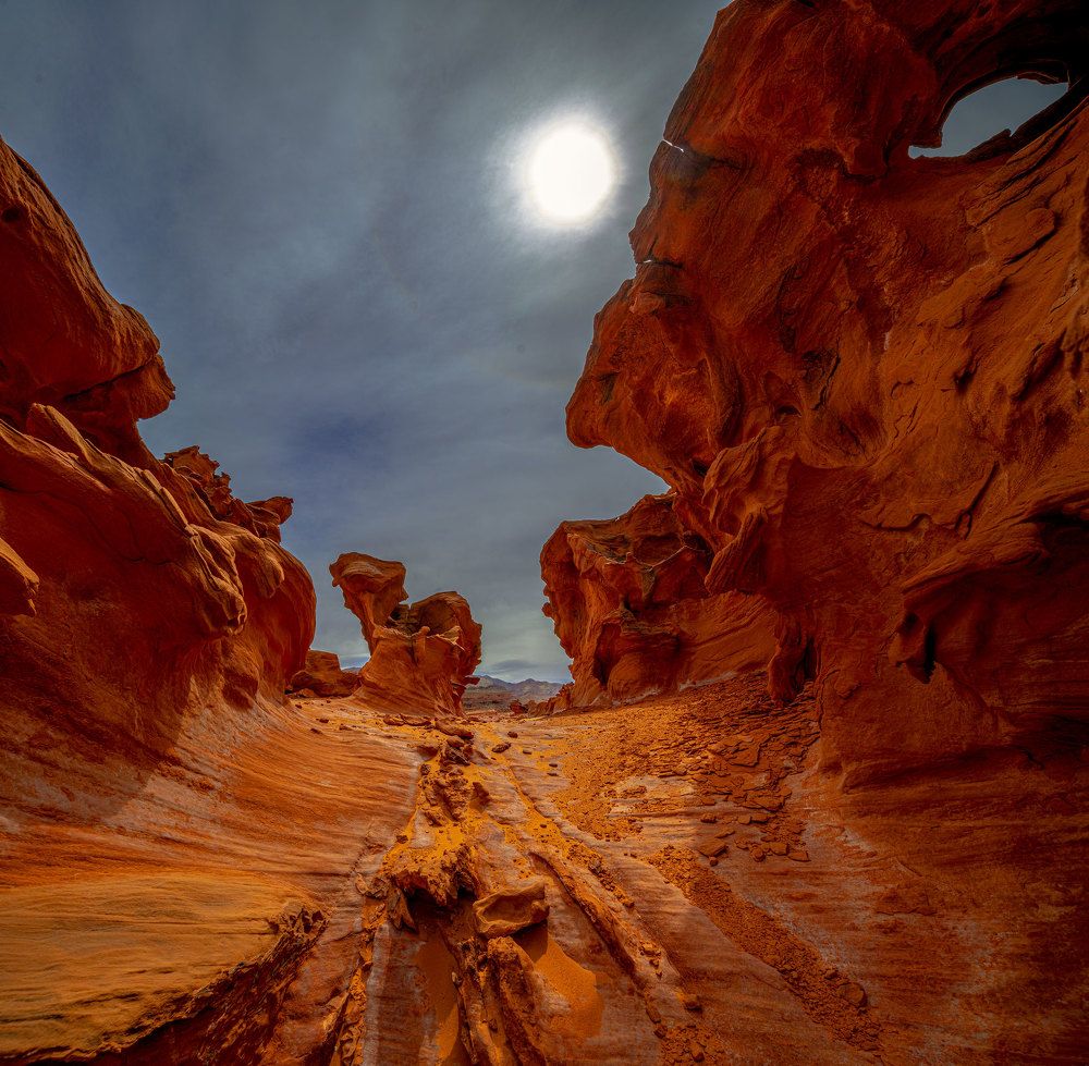 Фотография автора andrey gagarin