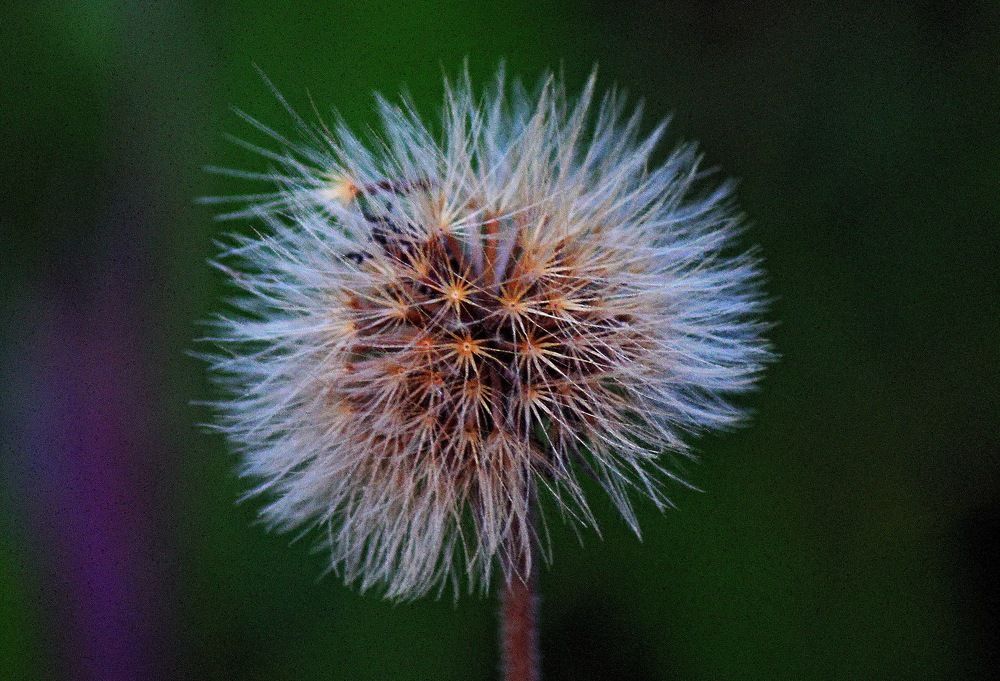 Photograph by Александр Бугаенко