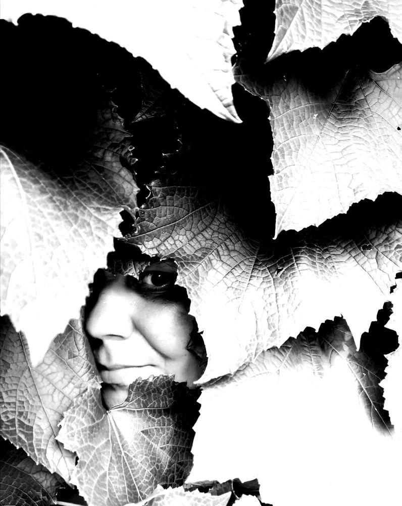 Photograph by Юлия Сластина - Самохвалова