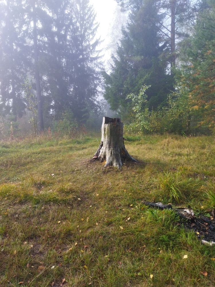 Photo #6481589