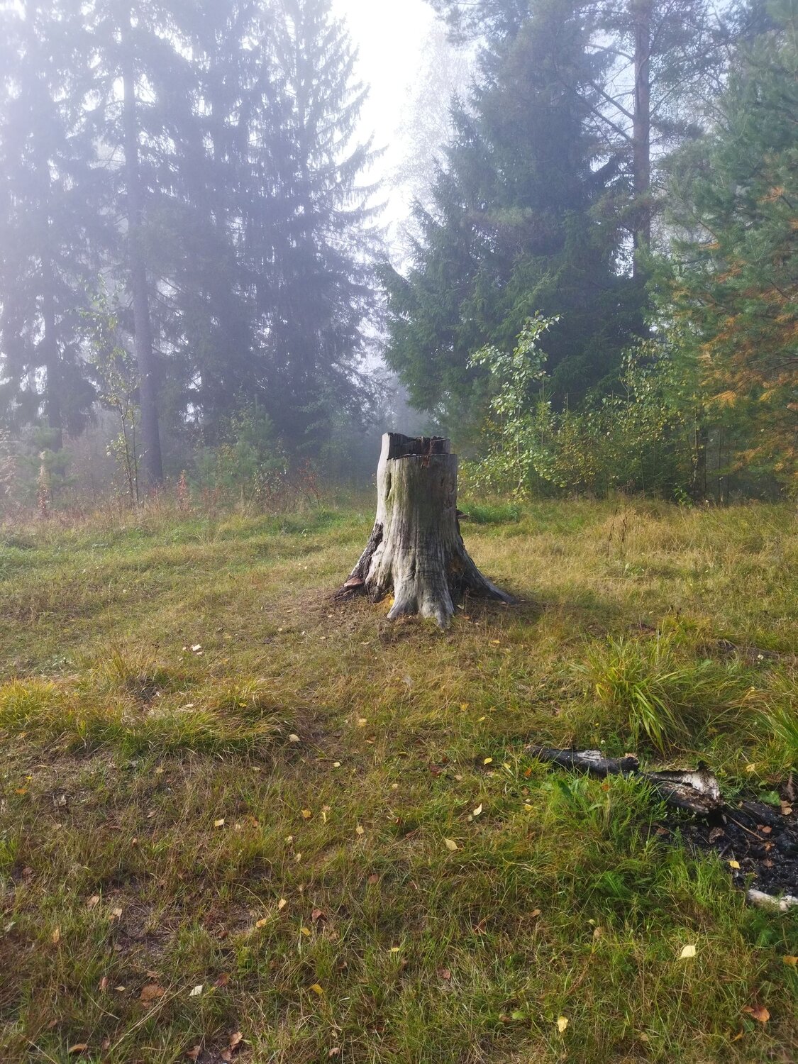 Photo #6481589