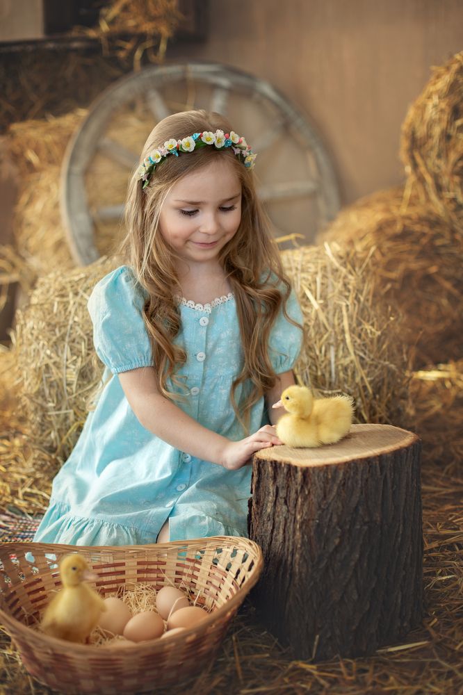 Фотография автора Шутенкова Евгения