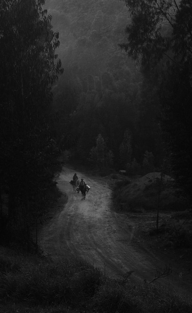 Campesinos en colombia