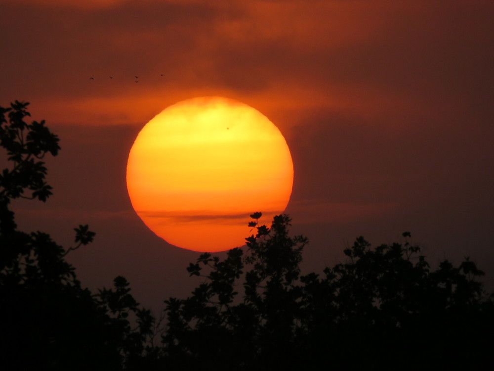 Sunset at Jhirna buffer