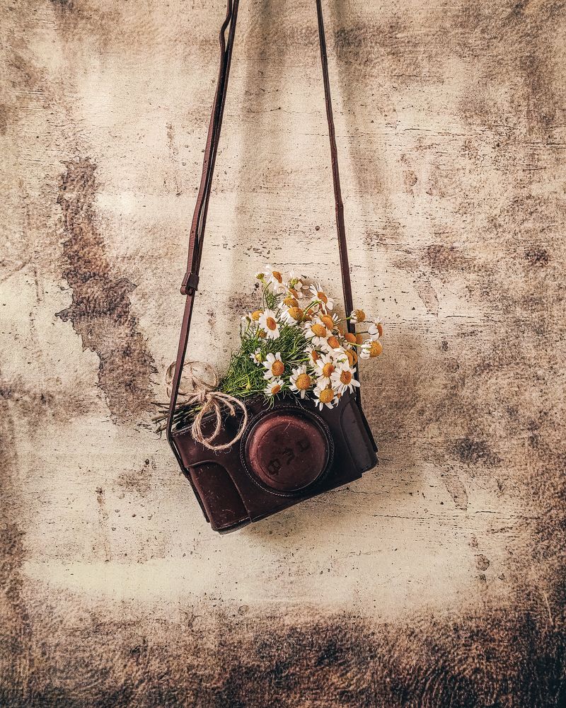 Дедушкин фотоаппарат