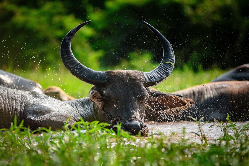 Photograph by Dinh Van Quoc Thanh