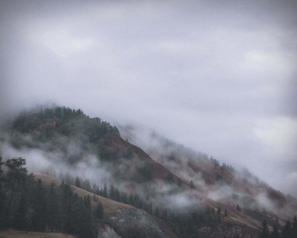 Photograph by Терентьев Георгий