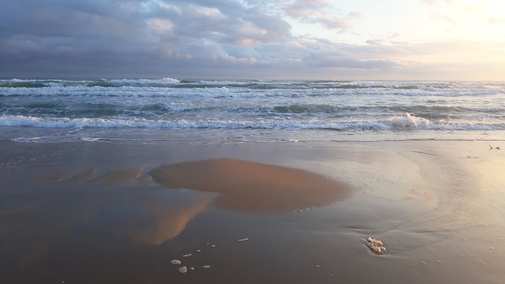 Photograph by Екатерина Шульцева