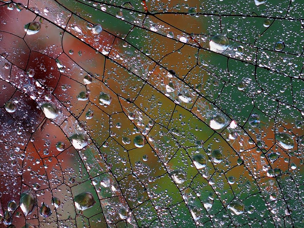 Photograph by Евгений Лукашук