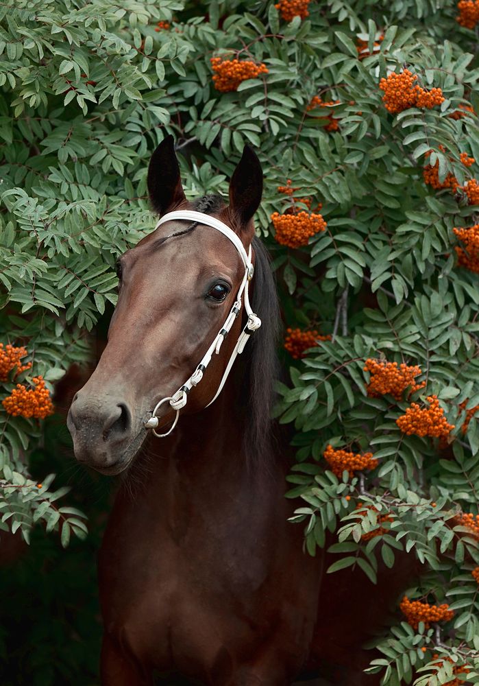 Photograph by Любовь Похабова