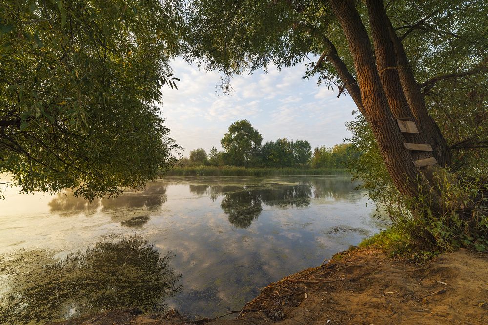 Photograph by Дмитрий Новоселов