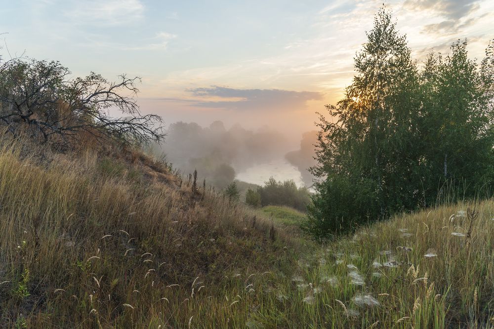 Photograph by Дмитрий Новоселов