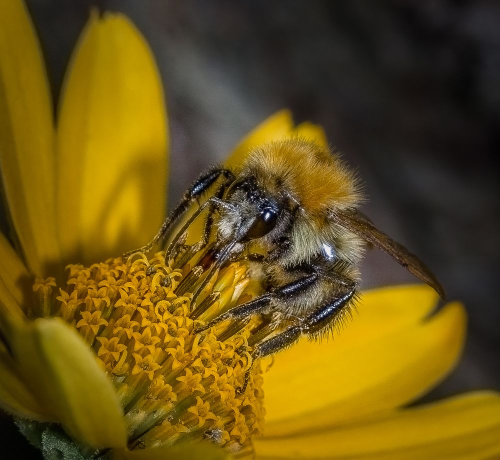 Photograph by Евгений Перемышлев