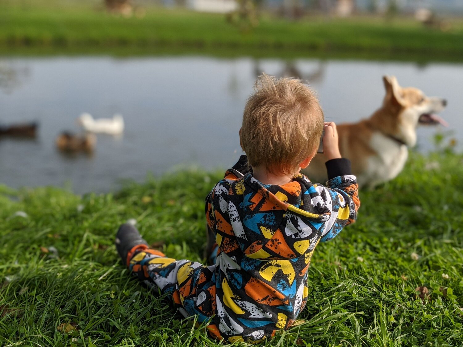 Photo #6482081