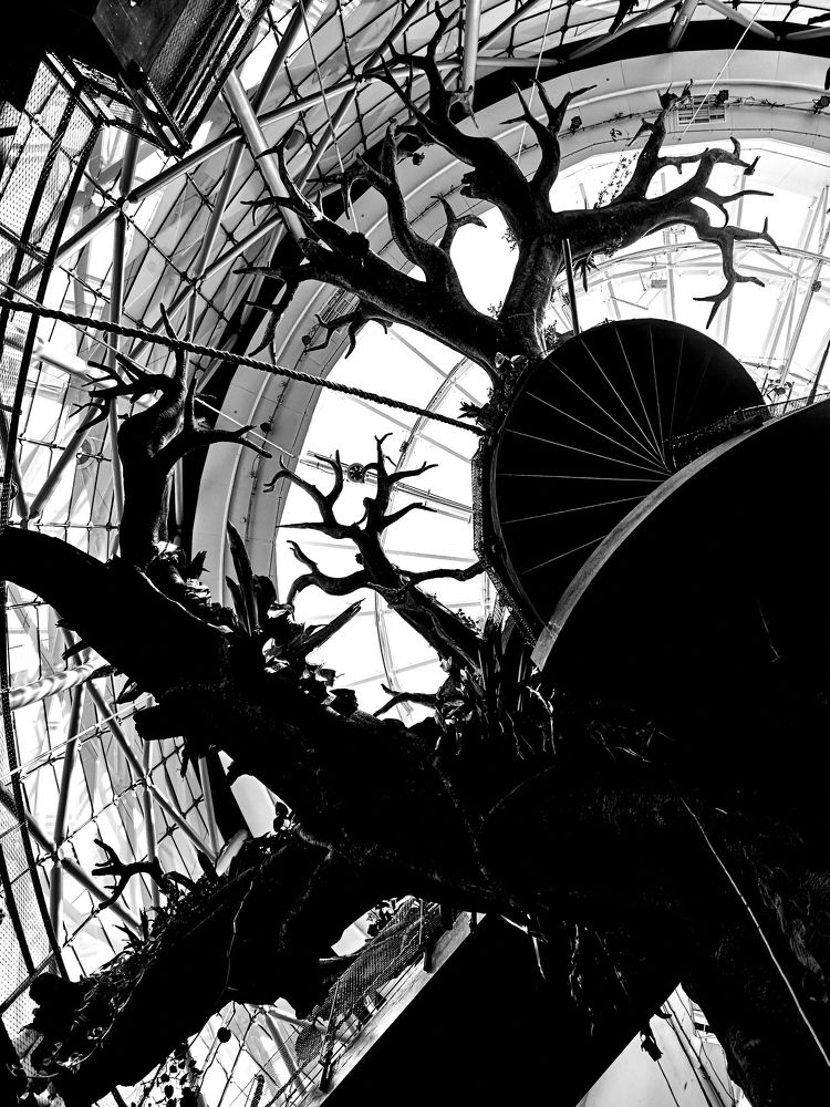 Photograph by Екатерина Ковшова