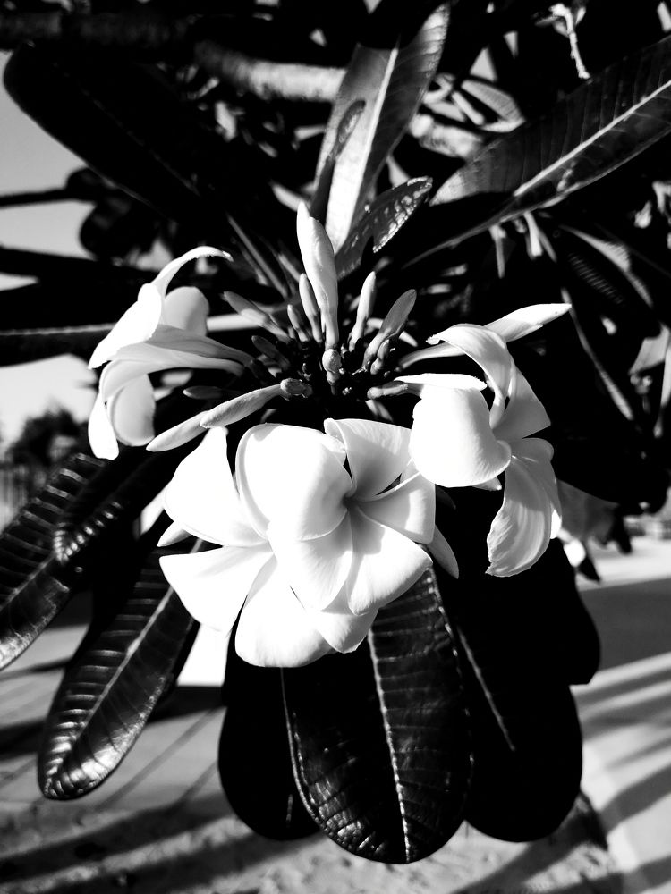 Photograph by Екатерина Ковшова