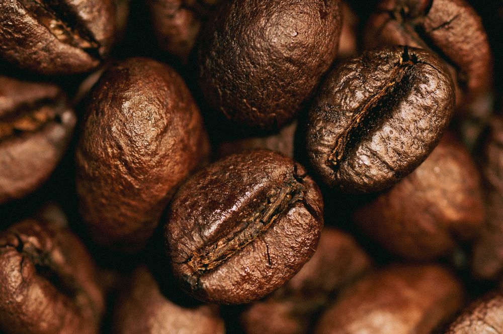 Photograph by Chris Duy