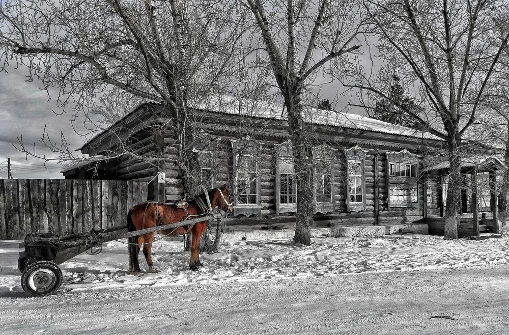 Photograph by Анастасия Дубинина