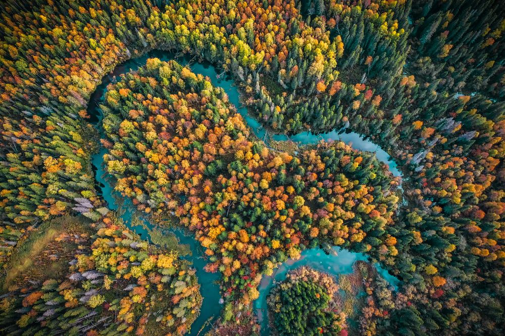 Сердце Коми республики