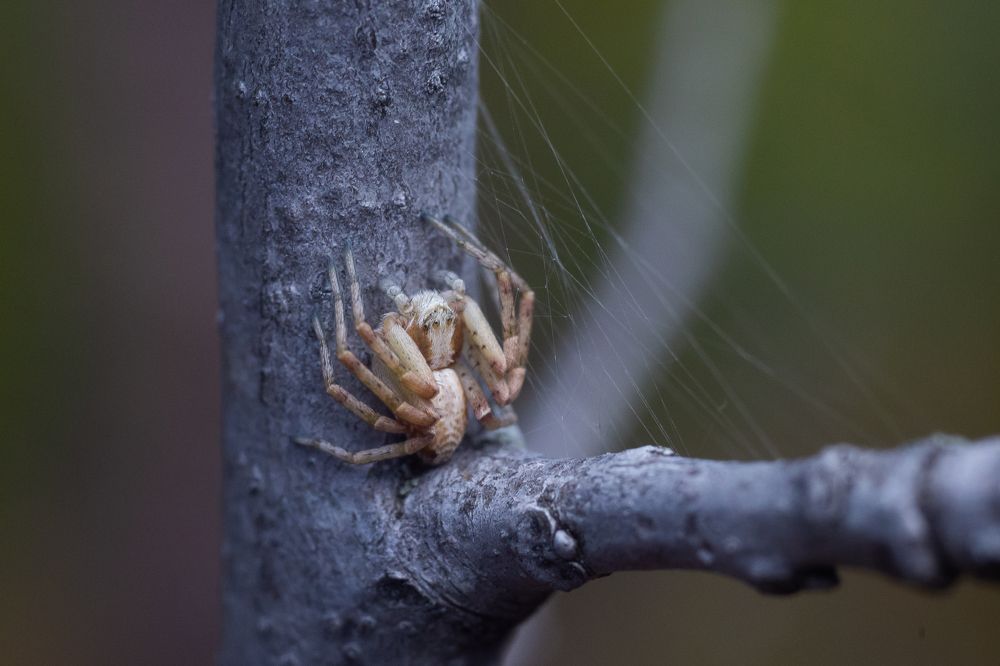 Photograph by Иван Гаврелюк