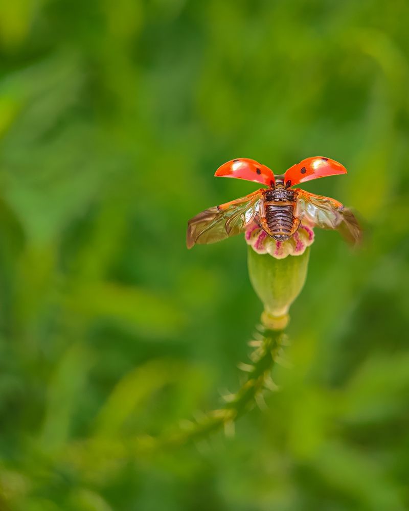 На старт. Внимание. Марш!