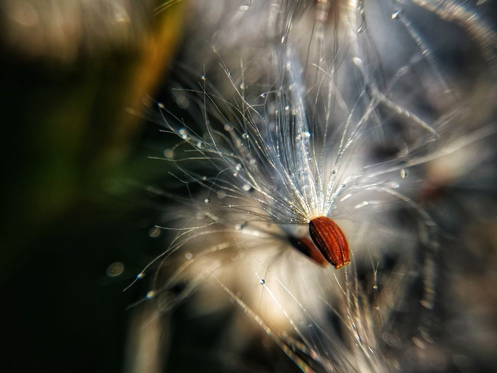 Photograph by Екатерина Ремез