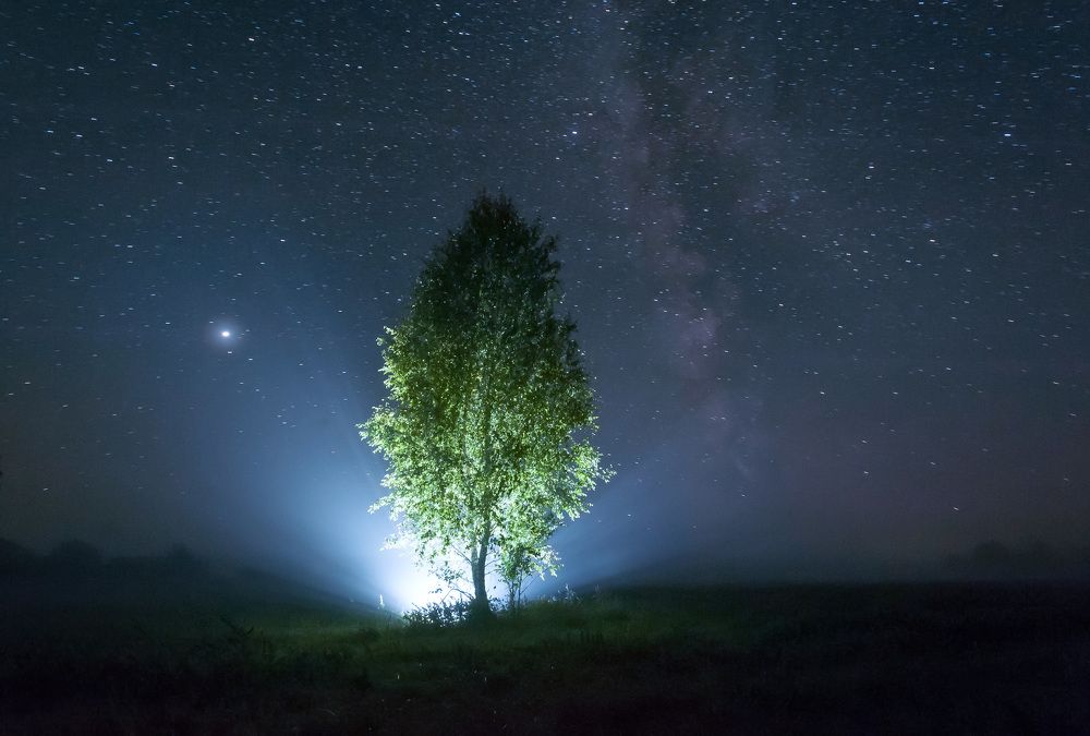 Photograph by Александр Гвоздь