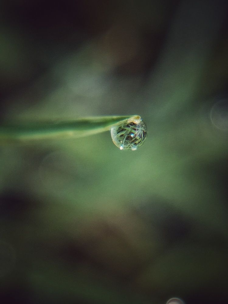 Photograph by Екатерина Ремез