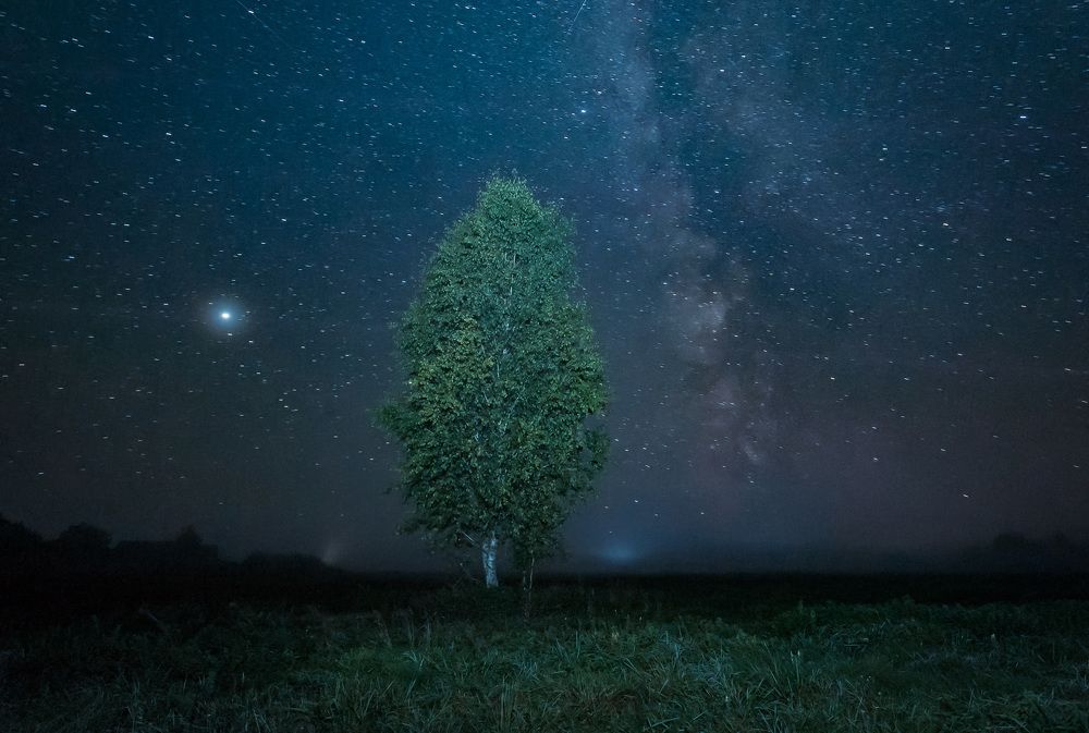 Photograph by Александр Гвоздь