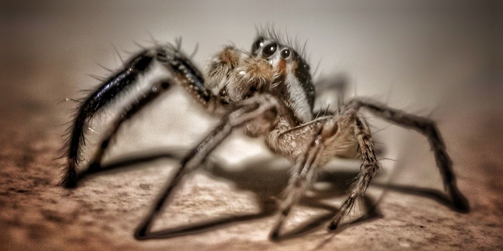 Photograph by Kobbie Pessach